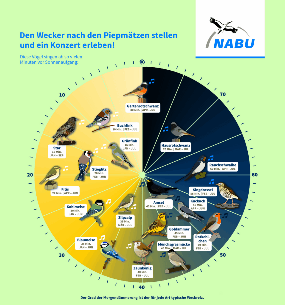 Vogeluhr, Gesang nach Sonnenstand © NABU